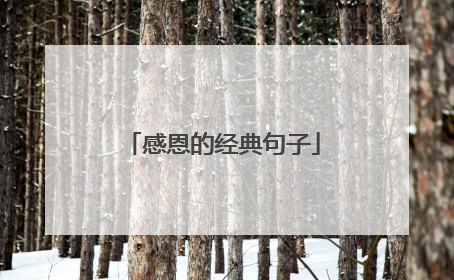 感恩的经典句子