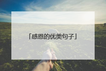 感恩的优美句子