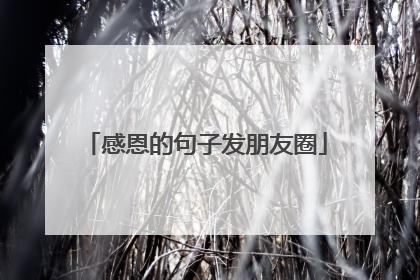 感恩的句子发朋友圈