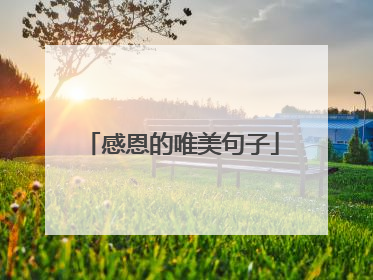 感恩的唯美句子