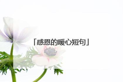 感恩的暖心短句