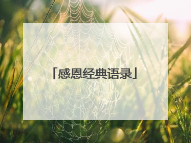 感恩经典语录