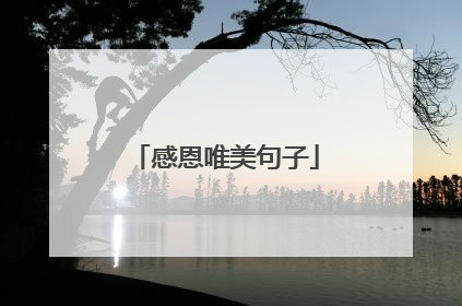 感恩唯美句子
