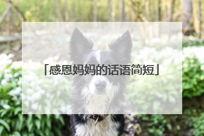 感恩妈妈的话语简短