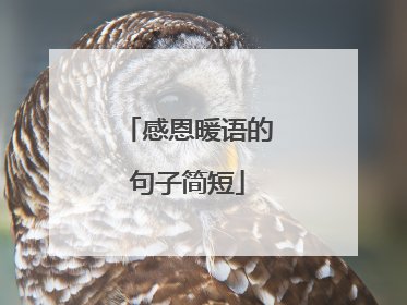 感恩暖语的句子简短