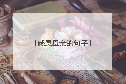 感恩母亲的句子