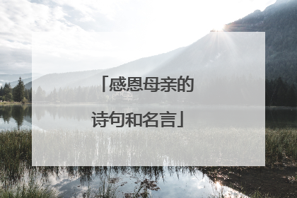 感恩母亲的诗句和名言