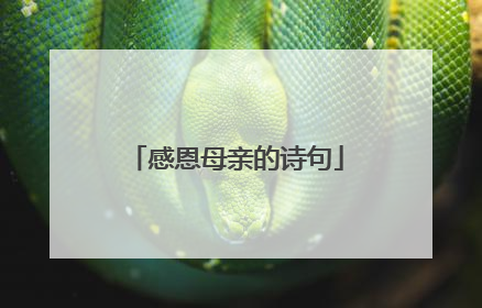 感恩母亲的诗句