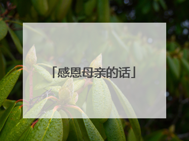 感恩母亲的话