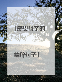 感恩母亲的精辟句子