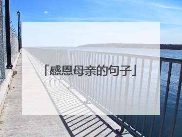 感恩母亲的句子