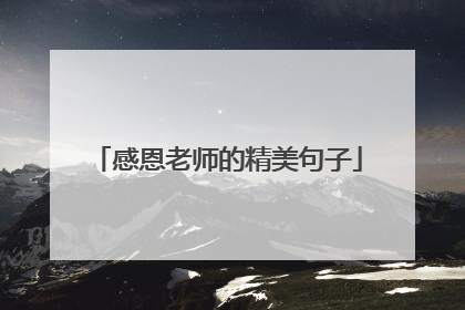 感恩老师的精美句子