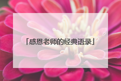 感恩老师的经典语录