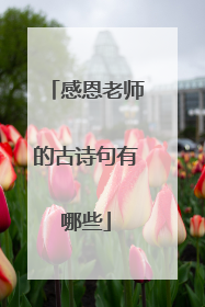 感恩老师的古诗句有哪些