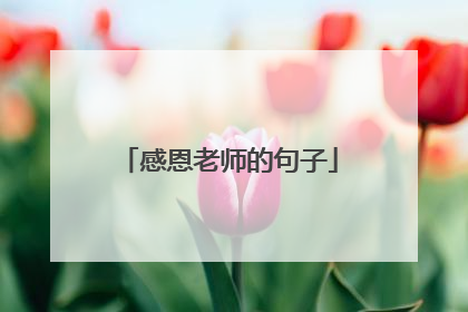感恩老师的句子