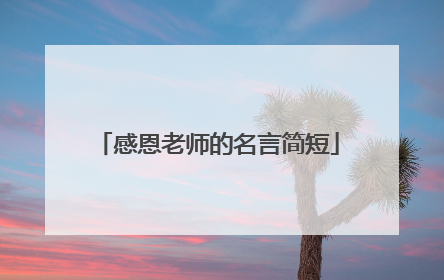 感恩老师的名言简短