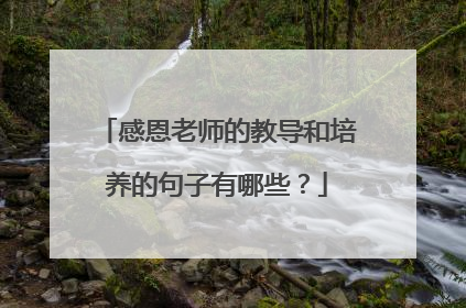 感恩老师的教导和培养的句子有哪些？