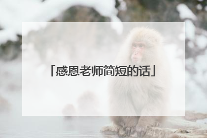 感恩老师简短的话