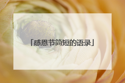 感恩节简短的语录