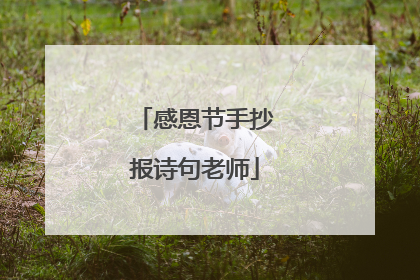 感恩节手抄报诗句老师
