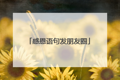 感恩语句发朋友圈
