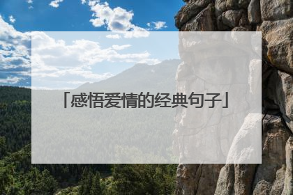 感悟爱情的经典句子