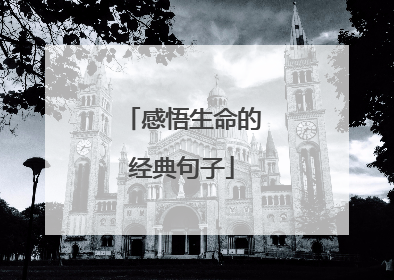 感悟生命的经典句子