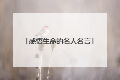 感悟生命的名人名言