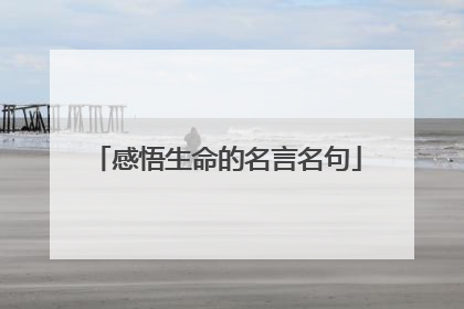 感悟生命的名言名句