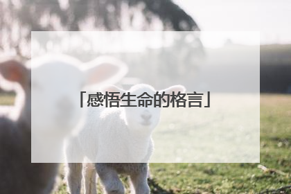 感悟生命的格言