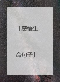感悟生命句子