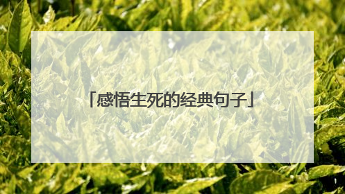 感悟生死的经典句子