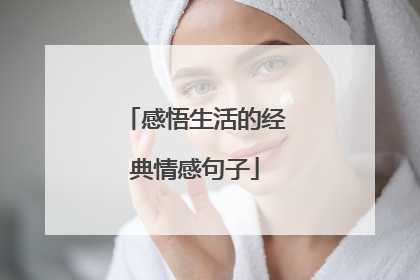 感悟生活的经典情感句子