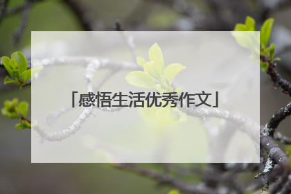 感悟生活优秀作文
