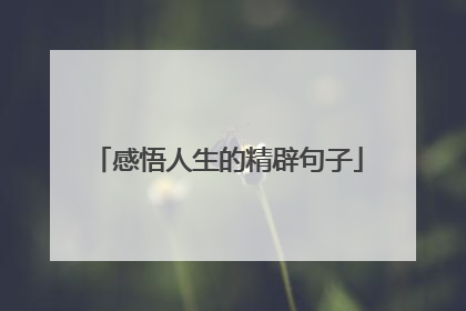 感悟人生的精辟句子