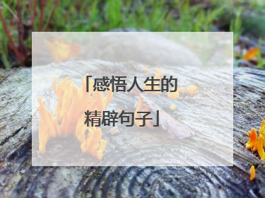 感悟人生的精辟句子