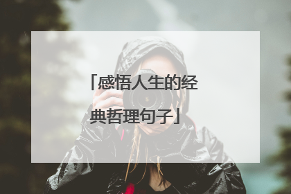 感悟人生的经典哲理句子