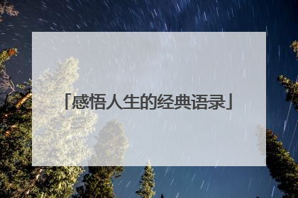 感悟人生的经典语录
