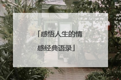 感悟人生的情感经典语录