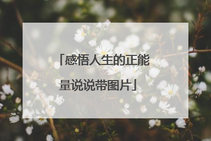 感悟人生的正能量说说带图片