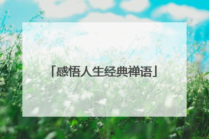 感悟人生经典禅语