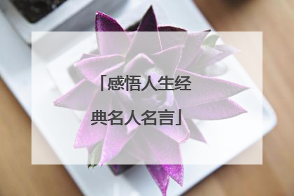 感悟人生经典名人名言