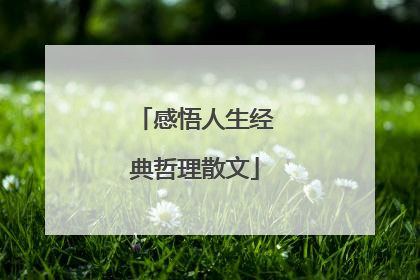 感悟人生经典哲理散文