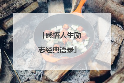 感悟人生励志经典语录