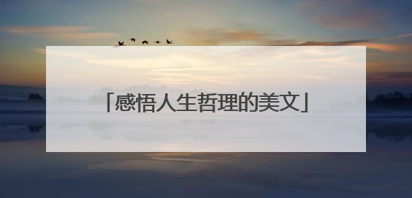 感悟人生哲理的美文