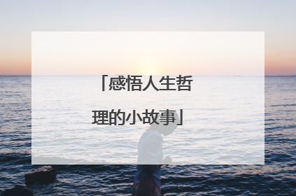 感悟人生哲理的小故事