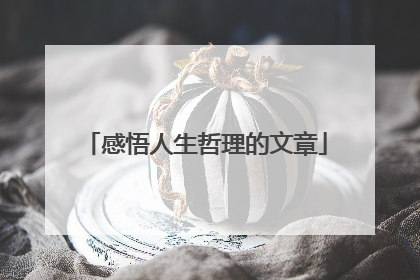 感悟人生哲理的文章