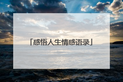 感悟人生情感语录