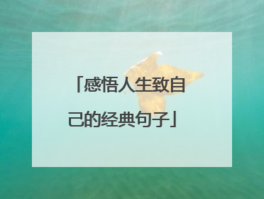 感悟人生致自己的经典句子