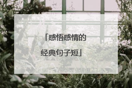 感悟感情的经典句子短